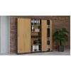 Topeshop OLIV 2D ANT/ART KPL biuro spinta knygoms