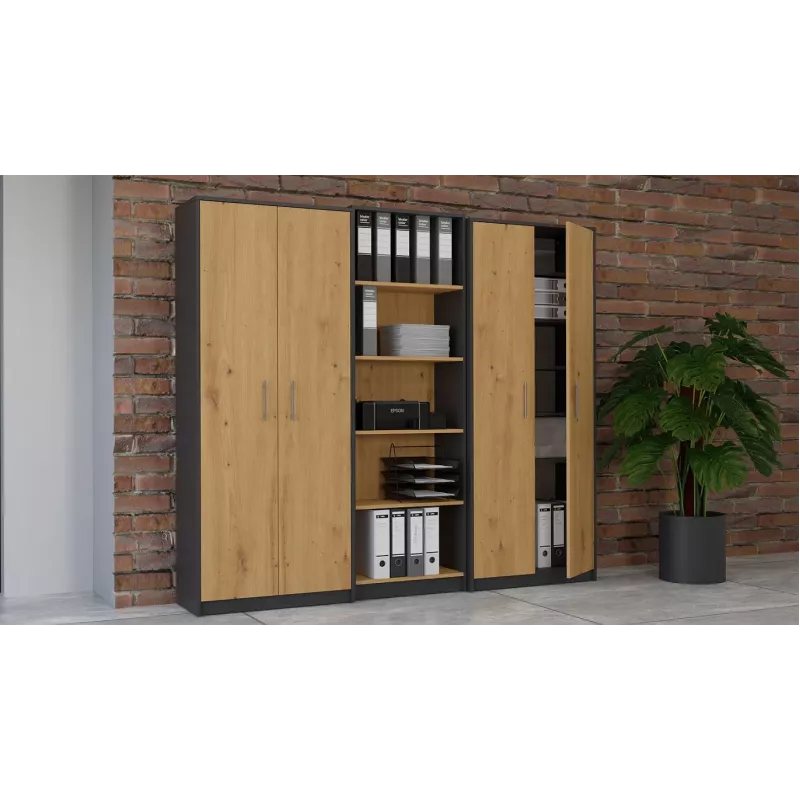 Topeshop OLIV 2D ANT/ART KPL biuro spinta knygoms