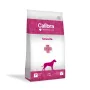 CALIBRA VD Dog Struvite - sausas šunų ėdalas - 2 kg