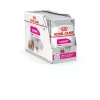 Šlapias šunų ėdalas Royal Canin Exigent Meat Universal 12×85 g — paukštiena, suaugusiems, išrankiems šunims