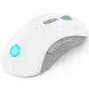 Žaidimų pelė Lenovo Legion M600 RF belaidė + Bluetooth + USB Type-A, ambidekstrinė, 16000 DPI, 9 mygtukų, įkraunama