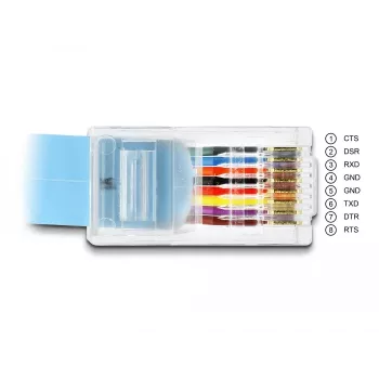 DeLOCK adapteris RS-232 DB9 kištukas į RJ45 kištuką 1 m