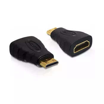DeLOCK 65244 lyties keitiklis HDMI-C (mikro HDMI) į HDMI-A