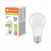Ledvance LEDV LED lemputė 8.5-60W/827 806lm E27 matinė 200° 15000h EEK F
