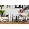 Zwilling Enfinigy Sidabrinis pieno putotojas