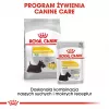 ROYAL CANIN Mini Dermacomfort - sausas ėdalas suaugusiems mažų veislių šunims su jautria oda, linkusia į dirginimą - 3kg