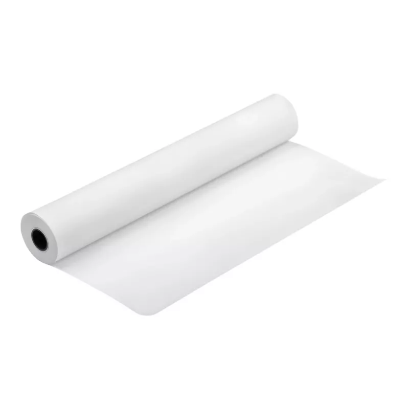 Epson Production Canvas Matte, 610 mm x 12,2 m, matinė drobė