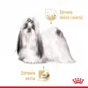 ROYAL CANIN Shih Tzu Adult šlapias šunų ėdalas Pâté 12x85 g