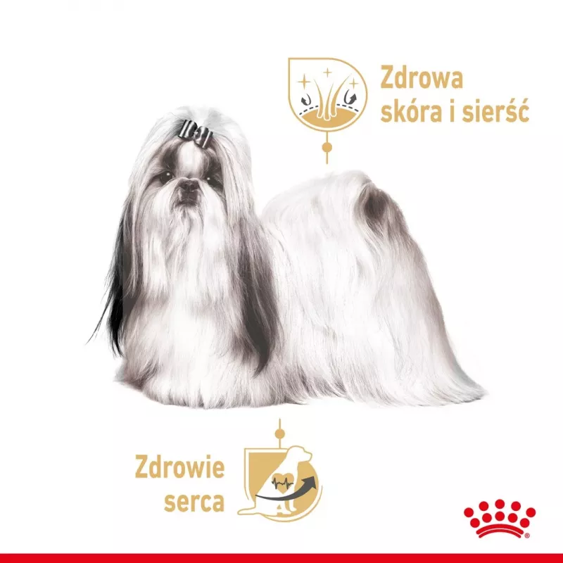 ROYAL CANIN Shih Tzu Adult šlapias šunų ėdalas Pâté 12x85 g