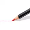 Spalvoti pieštukai Staedtler 149C C24, 24 vnt.