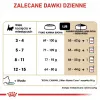 Sausas kačių ėdalas Royal Canin Maine Coon Kitten 2 kg – paukštiena, baltymai 36%, riebalai 23%
