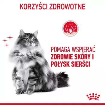 Sausas kačių ėdalas Royal Canin Hair & Skin Care 2 kg – vištiena, suaugusioms katėms, 33% baltymų, 22% riebalų