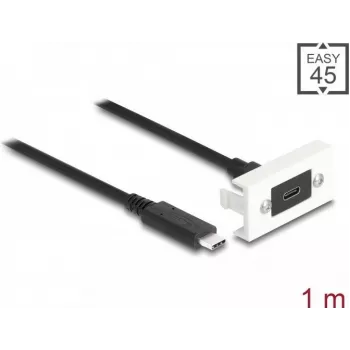 DeLOCK Easy 45 modulis, USB Type-C lizdas į kištuką, 1 m, USB 3.2 Gen 2, 10 Gbps