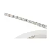 Synergy 21 LED Flex Strip 5050 - 60 RGB DC24V + RGB-W vieno lusto šiltai balta IP68