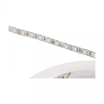 Synergy 21 LED Flex Strip 5050 - 60 RGB DC24V + RGB-W vieno lusto šiltai balta IP68