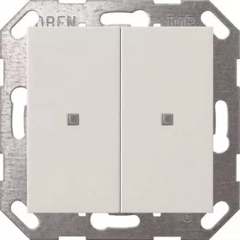Gira Taster Wippe KNX 2-jungiklis, gryna balta (modelis 517303)
