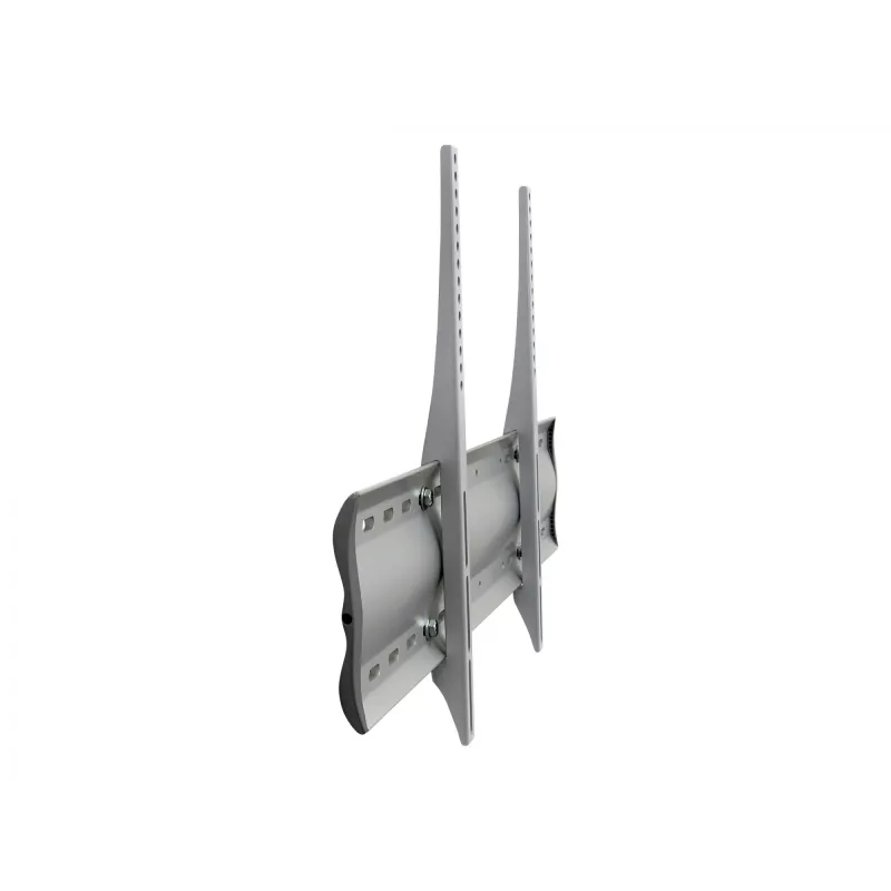 Ergotron 60-604-003 sidabrinis monitoriaus laikiklis