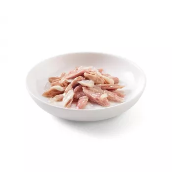 Šlapias ėdalas katėms SCHESIR in jelly Tuna with seabass – tunas su jūriniu ešeriu drebučiuose, 85 g