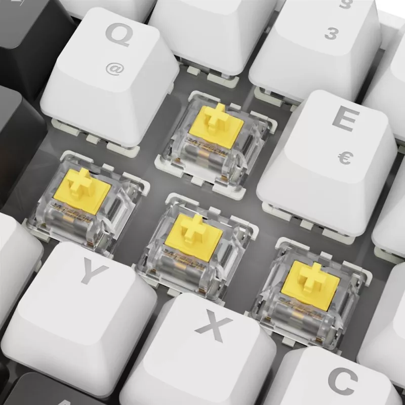 Sharkoon SGK50 S4 klaviatūra USB QWERTZ vokiška balta RGB LED 60%