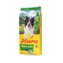 Sausas šunų ėdalas JOSERA Adult Salmon & Potato 12,5 kg – suaugusių šunų priežiūrai, lašiša ir bulvės
