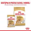 Sausas šunų ėdalas Royal Canin Pomeranian Adult 3 kg – smulkių veislių šunų receptūra suaugusiems pomerniams