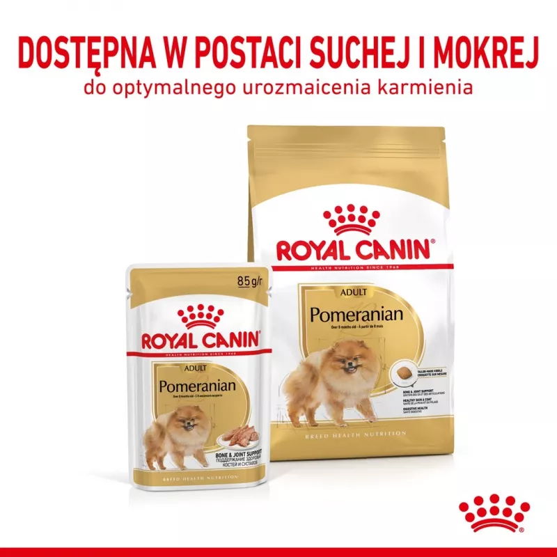 Sausas šunų ėdalas Royal Canin Pomeranian Adult 3 kg – smulkių veislių šunų receptūra suaugusiems pomerniams