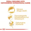 Royal Canin Persian Adult sausas ėdesys katėms, 4 kg, kukurūzai, paukštiena