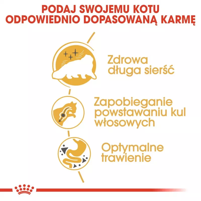 Royal Canin Persian Adult sausas ėdesys katėms, 4 kg, kukurūzai, paukštiena
