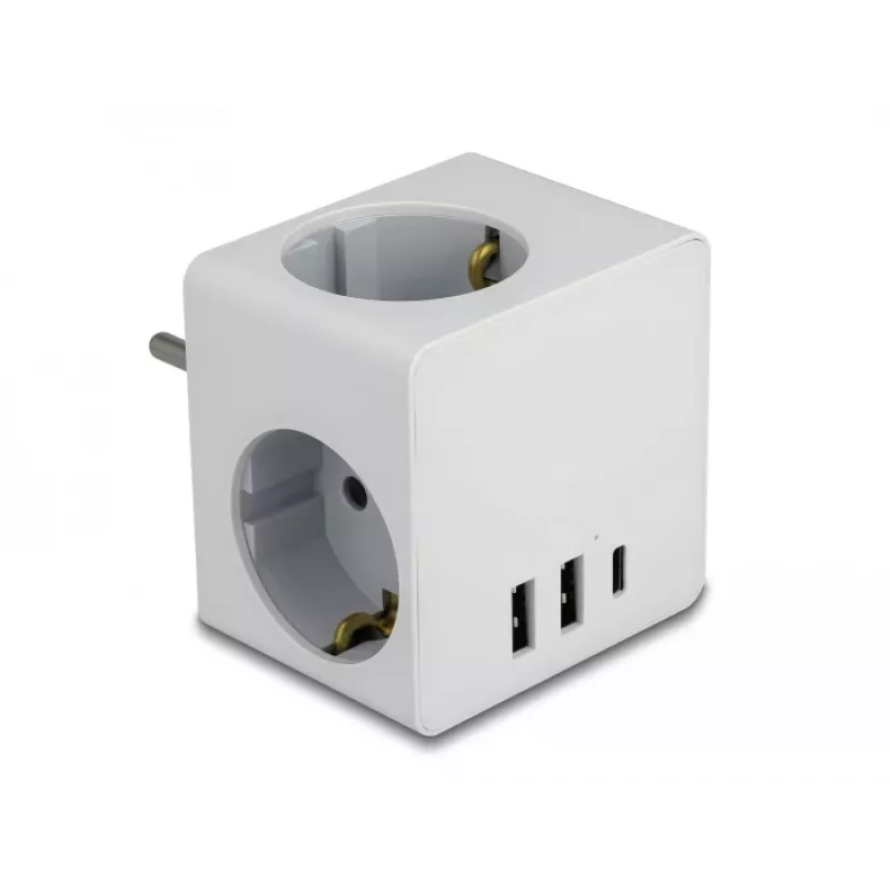Maitinimo adapteris su kištuku F tipu DeLOCK 11496 2 USB prievadai 5V 2,4A 3A