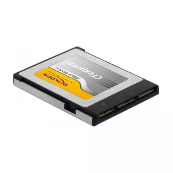 Atminties kortelė DeLOCK 54066 256 GB CFexpress