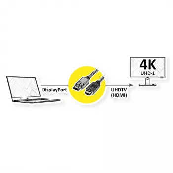 ROLINE 11.04.5997-10 DisplayPort į HDMI laidas 3m Juodas