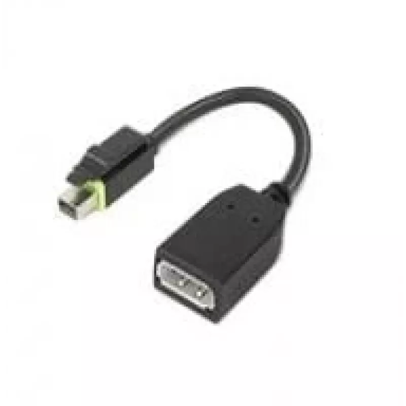 Lenovo 4X90Q93975 vaizdo kabelio adapteris Mini DisplayPort → DisplayPort, juodas