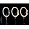 TRACER RING 30cm žiedinis šviestuvas su trikoju 210cm