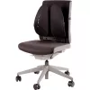 Nugaros atrama Back Angel 8026401 Fellowes