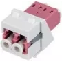 Rutenbeck Keystone modulis KMK-LC-D OM4 baltas – LC Duplex OM4 šviesolaidžio įdėklas