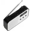 Nešiojamas skaitmeninis radijas Adler AD 1907 – AM/FM, skaitmeninis imtuvas, žadintuvas, USB-C, 600 mAh baterija, LCD, 20 išankstinių stočių, teleskopinė antena