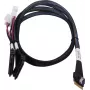SAS kabelis ADAPTEC Microchip Technology 2305500-R SlimSAS ×8 į 2×2SFF-8639 U.2, 0,8 m, juodas