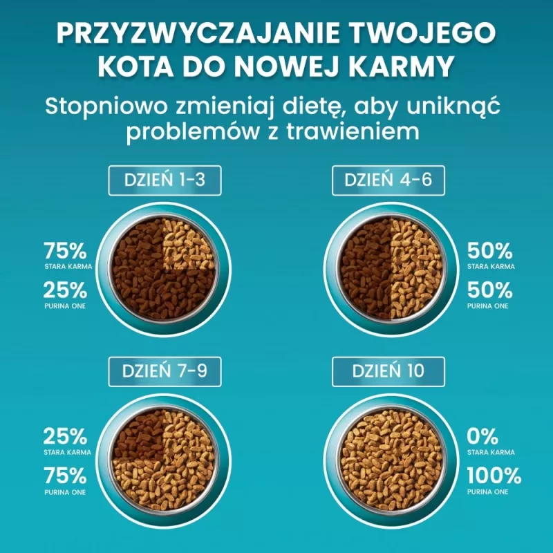 Sausas kačių ėdalas Purina ONE Adult Coat & Hairball Rich in Chicken 800 g