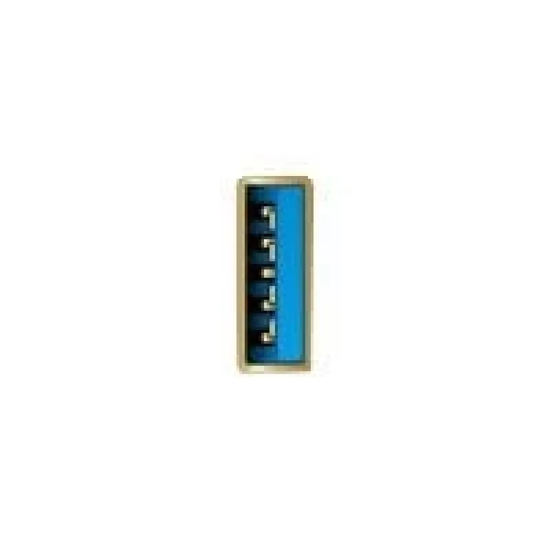Adapteris USB Type-A (vyriškas) į 2,5 Gigabit LAN DeLOCK 66646