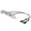 USB lizdo juostos kabelis Digitus AK-300301-002-E