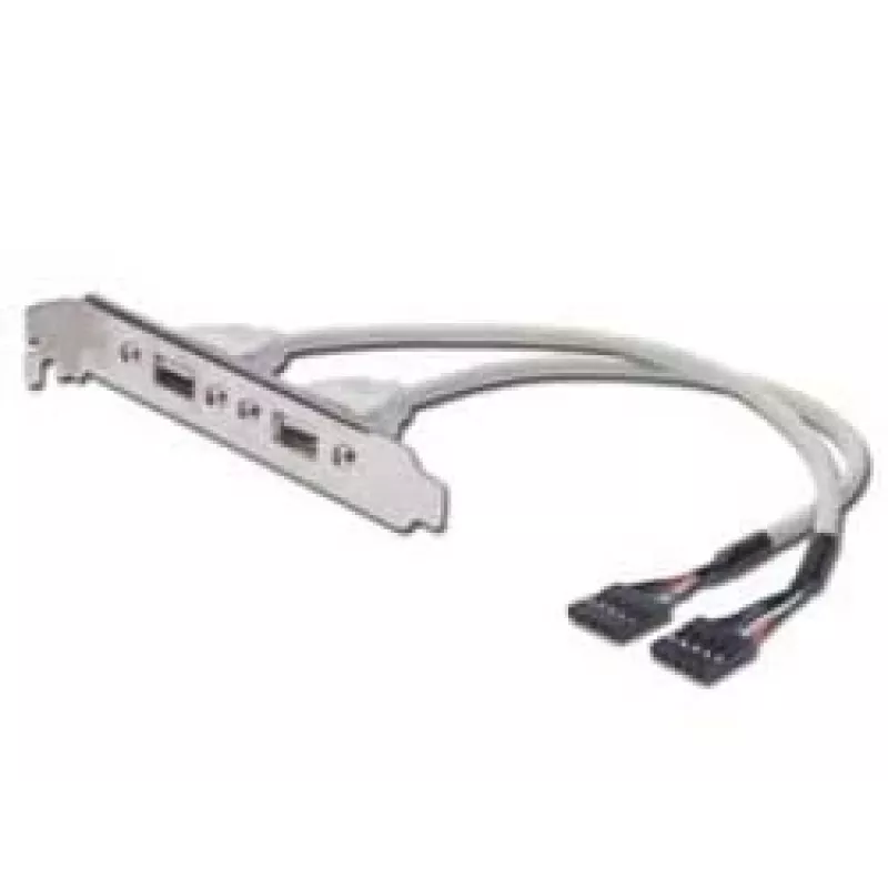 USB lizdo juostos kabelis Digitus AK-300301-002-E
