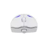 Belaidė pelė White Shark GM-5019 Dagonet Wireless