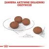 Royal Canin Mini Digestive Care 1 kg suaugusiems vištiena