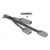 DeLOCK 64303 USB 3.2 Gen 1 Type-C USB centras 5000 Mbit/s pilkas