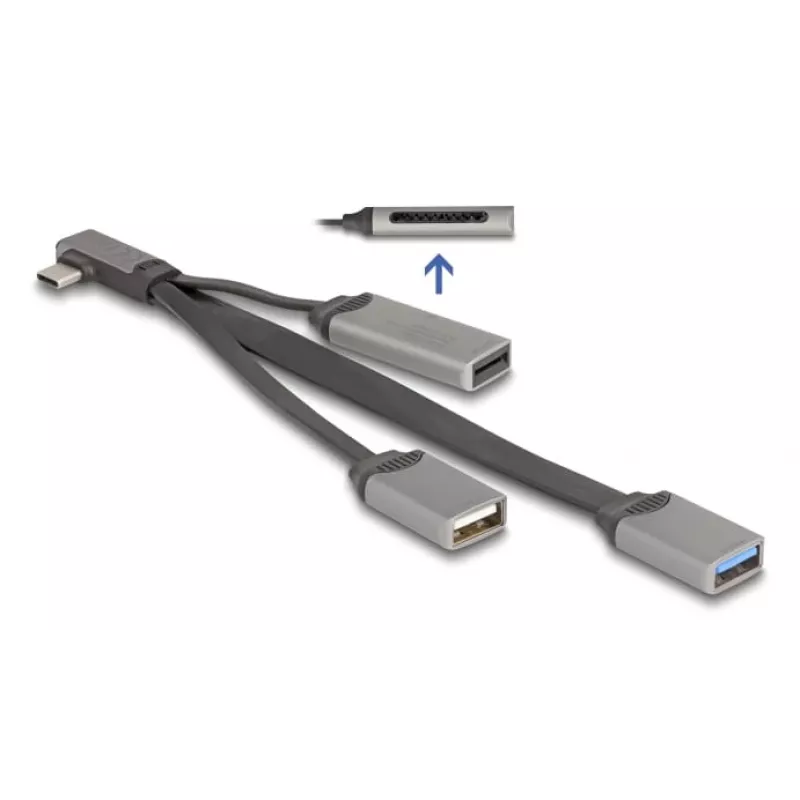 DeLOCK 64303 USB 3.2 Gen 1 Type-C USB centras 5000 Mbit/s pilkas