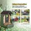 EASYPIX Bird Cam 10123 1080p HD naktinio matymo paukščių kamera