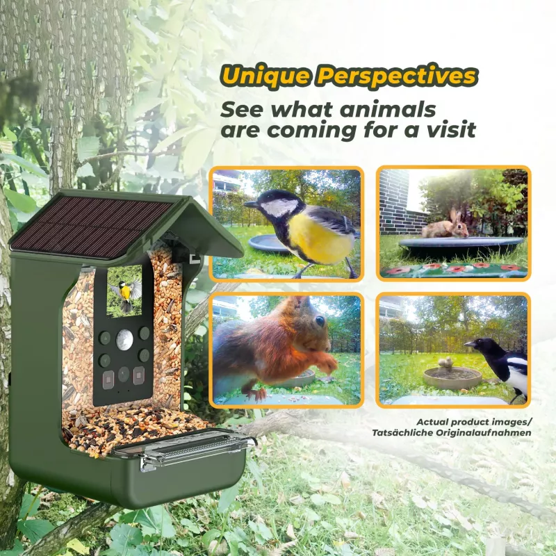 EASYPIX Bird Cam 10123 1080p HD naktinio matymo paukščių kamera