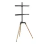 Priedas televizoriui ant grindų stovas 32-65/TRIPOD TVS-65S-01 Gembird