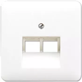 Sieninis RJ-45 lizdas JUNG CD 569-2 UA WW baltas termoplastikas