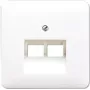Sieninis RJ-45 lizdas JUNG CD 569-2 UA WW baltas termoplastikas